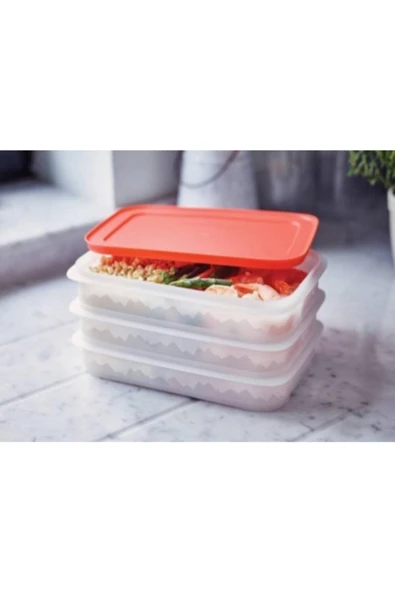 Tupperware Alaska 3 Katlı Derin Dondurucu Saklama Kabı