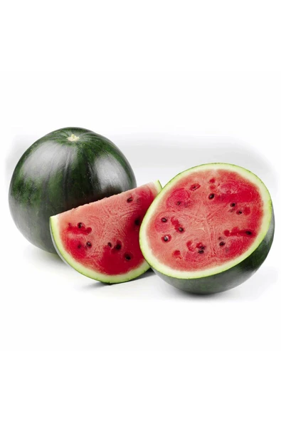 ZENGARDEN EV VE BAHÇE Sugar baby karpuz tohumu citrullus lanatus var - 3