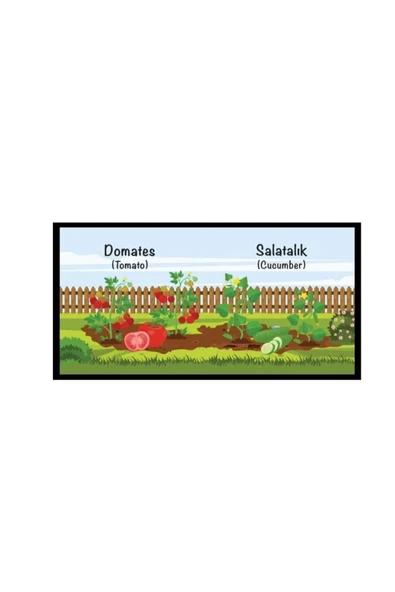 MERT BEBEK BEBEĞİMİN İLK KİTAPLARI MİNİK KÜTÜPHANEM SETİ 12 Lİ KİTAP SET TÜRKÇE İNGİLİZCE - 7