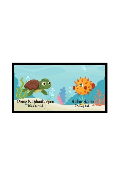 MERT BEBEK BEBEĞİMİN İLK KİTAPLARI MİNİK KÜTÜPHANEM SETİ 12 Lİ KİTAP SET TÜRKÇE İNGİLİZCE - 6