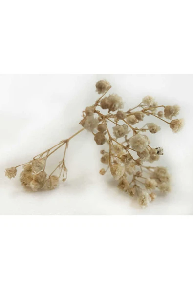 Çiçek Doğal Cipso Naturel Renk (50 Gram) Pk:1 Demet - 2