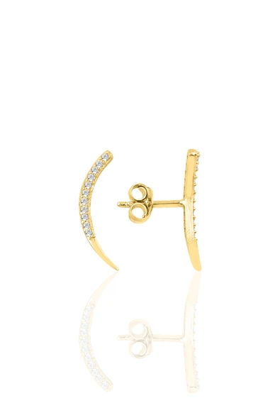 Gümüş altın yaldızlı zirkon taşlı Ay modeli küpe SGTL10824GOLD ürün görseli