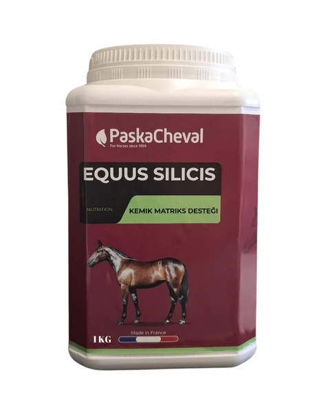 Paskacheval Equus Silicis 1 KG