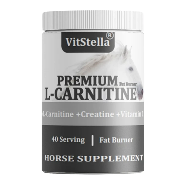 Vitstella L-Carnitine 1 Kg