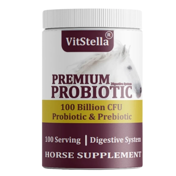Vitstella Premium Probiotic  1 Kg ürün görseli 1