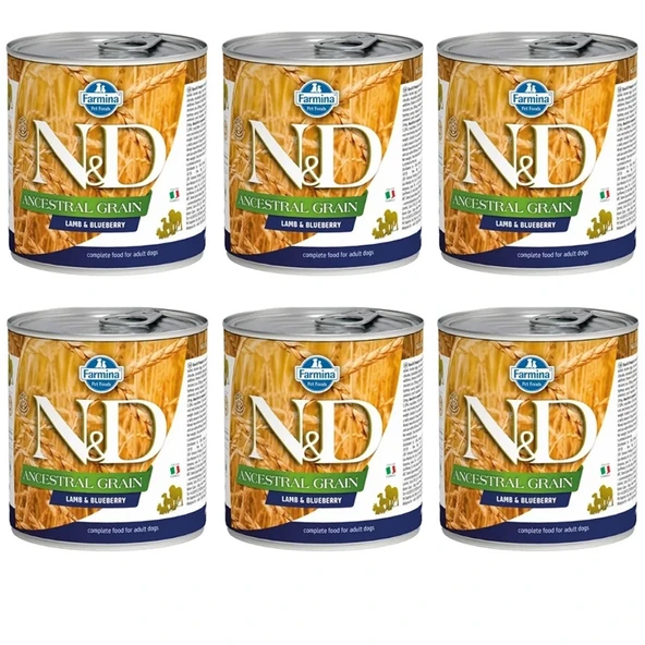 N&D Ancestral Grain Tahılsız Kuzu Etli ve Yaban Mersinli Konserve Yaş Köpek Maması 285 gr x 6