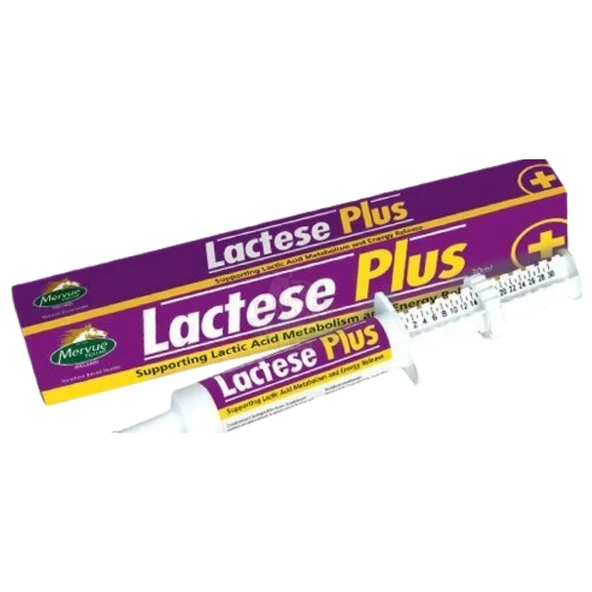 Mervue Equine Lactese Plus 30 Ml - 1