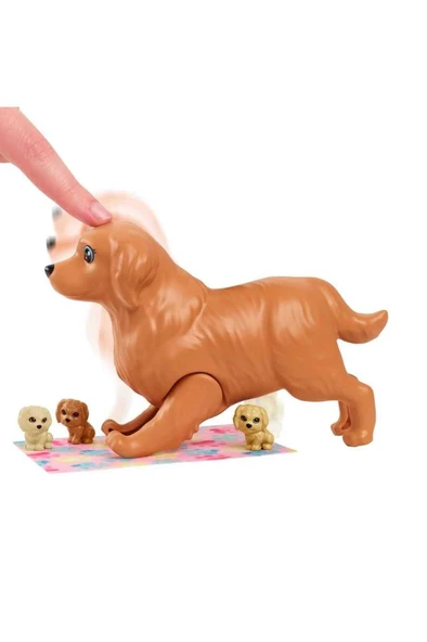 Barbie ve Yeni Doğan Köpekler Oyun Seti | HCK75 - 4