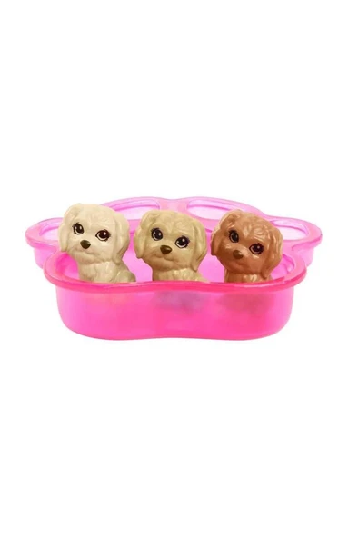 Barbie ve Yeni Doğan Köpekler Oyun Seti | HCK75 - 6