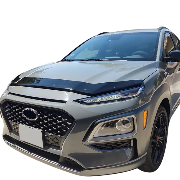Ford Fusion Ön Kaput Koruyucu - Basic |  2002-2012
