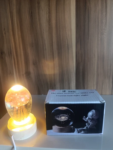 Deniz  anası temalı ışıklı ahşap altlıklı kar küre - Resim 7