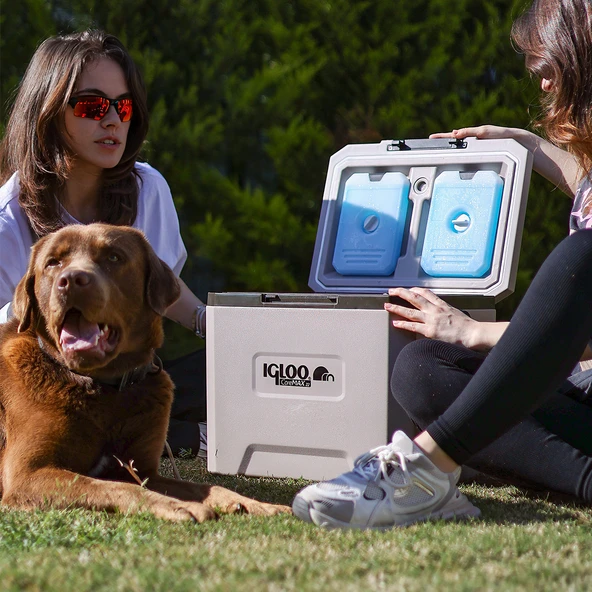 IGLOO CoreMAX 22 Buzluk 22 Litre - Resim 5