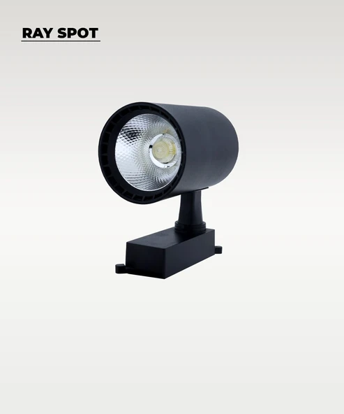 30W Siyah Ray Spot 4000K (Gün Işığı) - 3
