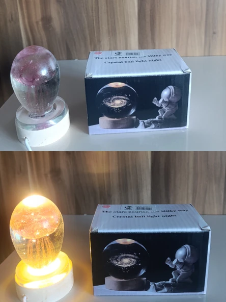 Deniz  anası temalı ışıklı ahşap altlıklı kar küre - Resim 6