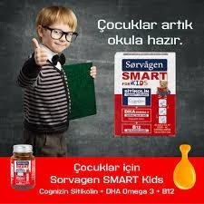 Sorvagen Smart Kids Sitikolin DHA Omega 3 Norveç Balık Yağı B12 60 Kapsül - 3