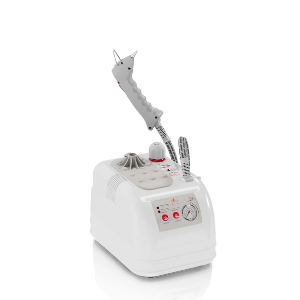 "GOLDENTAL" BUHARLI TEMİZLEME ROBOTU 2 LT - PLASTİK GÖVDE