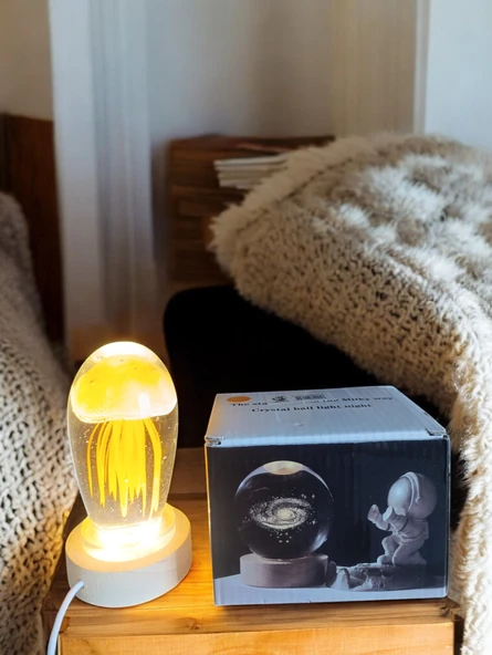 Ahşap altlıklı ışıklı küre - Resim 8