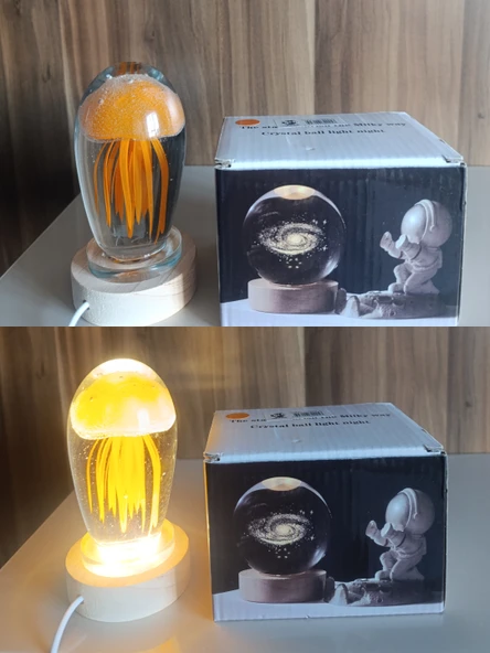 Ahşap altlıklı ışıklı küre - Resim 9