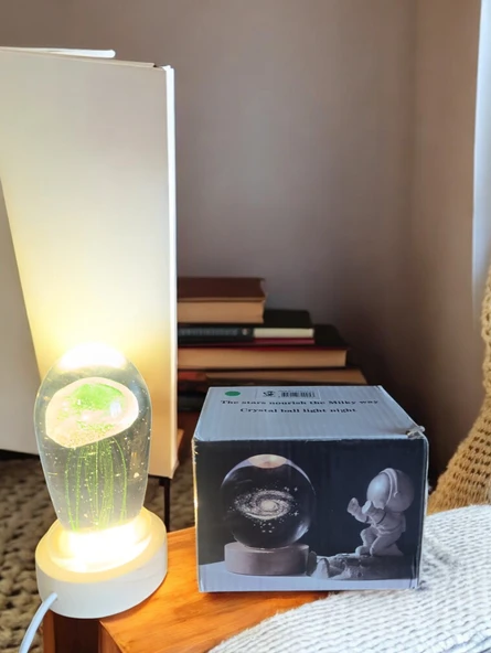 Ahşap altlıklı ışıklı küre - Resim 2