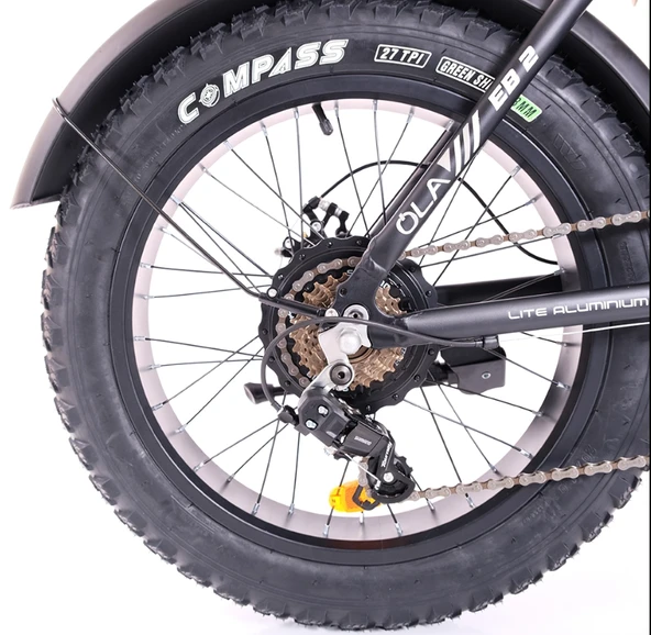 Ola Electrobold EB2 250 W Elektrikli Bisiklet - Resim 6