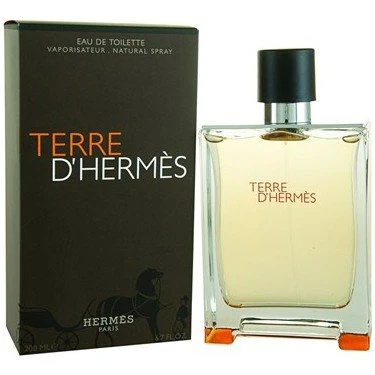 Hermes Terree D' Edt 100 ml Erkek Parfümü 3346131400003