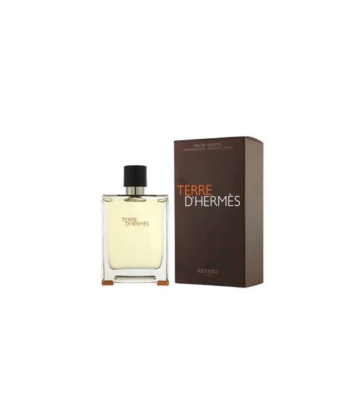 Hermes Terree D' Edt 100 ml Erkek Parfümü 3346131400003 - 2
