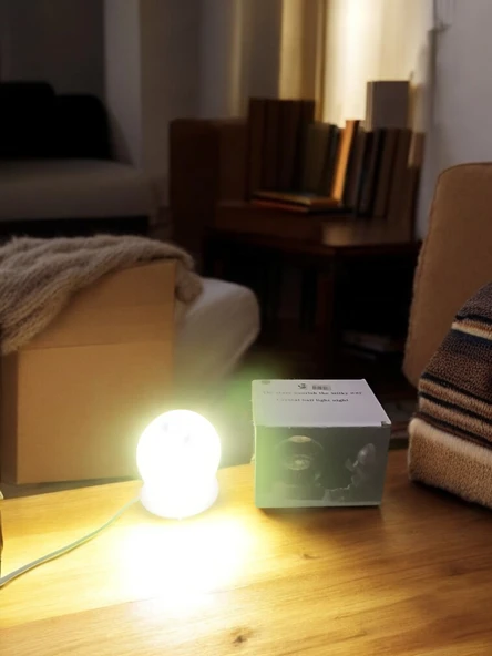 Ahşap altlıklı ışıklı küre - Resim 5