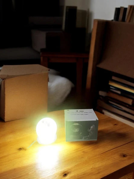 Ahşap altlıklı ışıklı küre - Resim 2