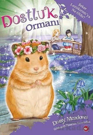 Dostluk Ormanı 9 - Şeker Lezizkırıntı'ya Ne Oldu? - Daisy Meadows