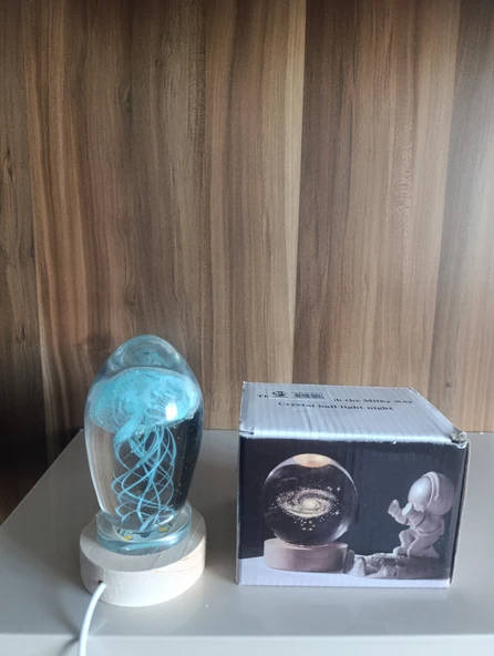 Ahşap altlıklı ışıklı küre - Resim 4