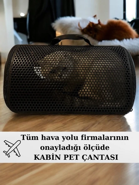CEMGİZAY Kedi Ve Köpek Taşıma Çantası 10 Kg Taşımalı 40x30x23 Kabin Boy