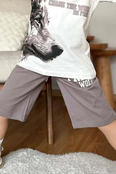 Erkek Çocuk Kurt Ve Free Wolf Yazı Baskılı Gri Şortlu Takım - 4