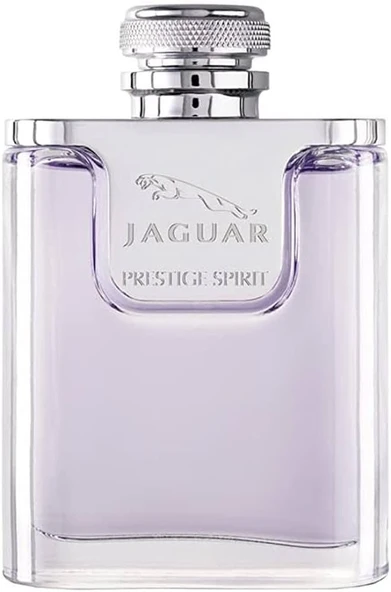 Jaguar Prestige Spirit Erkek Parfüm Eau de Toilette 100ml - 2