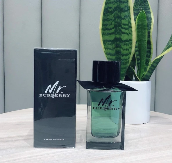 Burberry Mr Edt 100 ml Erkek Parfümü 5045456747685 - 5