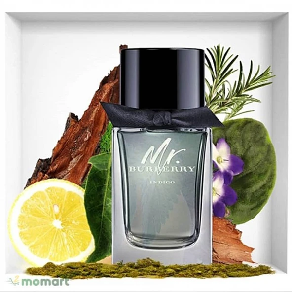 Burberry Mr Edt 100 ml Erkek Parfümü 5045456747685 - 4