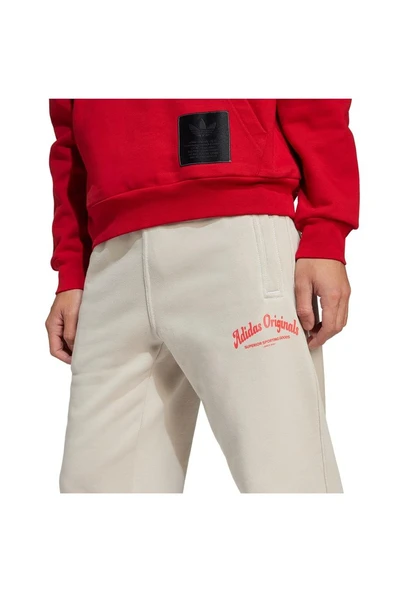 adidas Erkek  Bej  Eşofman Altı WAB  TRACK PAN JD0672 - 5