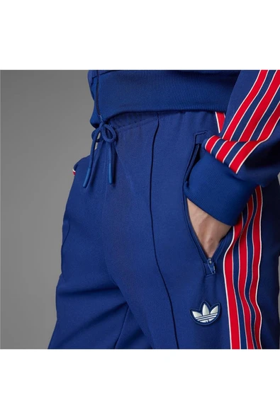 adidas Erkek  Mavi  Eşofman Altı AFC ICON TP JF0545 - 5