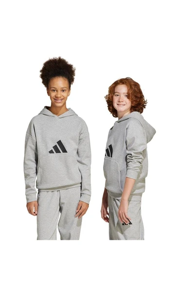 adidas Gri Çocuk   Sweatshirt J FI LOGO HD JJ4788 - 8