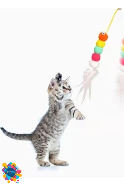 Kedi Oyun Oltası -Elastik Yapışkanlı - 3