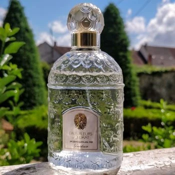 Guerlain Eau De Fleurs De Cedrat EDT 100ml unisex erkek parfüm - 6