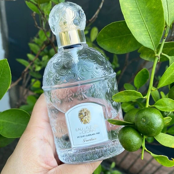 Guerlain Eau De Fleurs De Cedrat EDT 100ml unisex erkek parfüm - 5