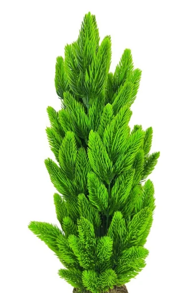 Nettenevime Yapay Çiçek Kütük Saksıda Çam Ağacı 50cm - 6