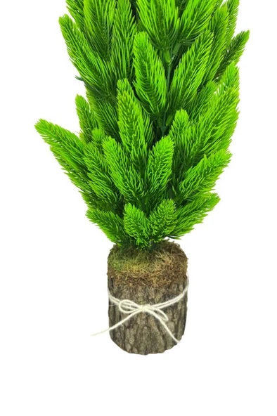 Nettenevime Yapay Çiçek Kütük Saksıda Çam Ağacı 50cm - 7