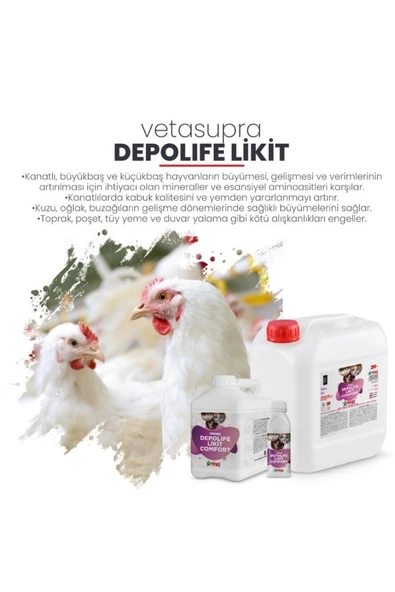 Hs Tarım Vetasupra Depolife Likit Comfort Verim Artırıcı Hayvan Yem Katkı Maddesi - 5 kg - Resim 5
