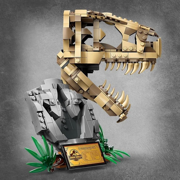 LEGO 76964 Jurassic World Dinozor Fosilleri: T. rex Kafatası - Resim 5