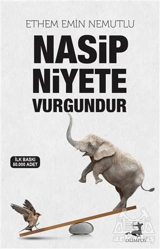 Nasip Niyete Vurgundur - Ethem Emin Nemutlu