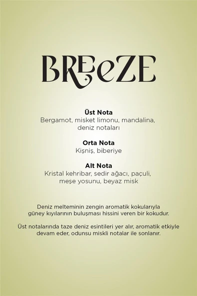 CARPEX Breeze A1 Koku Kartuşu 200 ml Premium Seri - 3