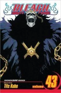 Bleach 43 - Tite Kubo