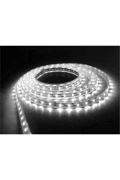 CSled  40 x 40  Dış Mekan Silikonlu Şerit Led