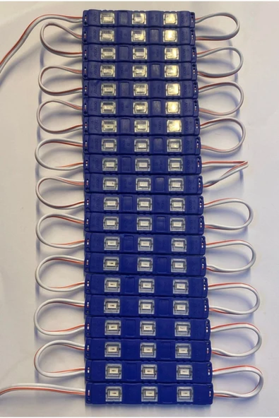 3M  0.72 Watt Enjeksiyon Kasa 5730 Modül Led 12 Volt Mavi Renk - 1
